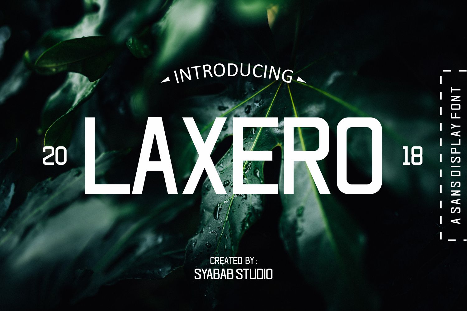 Laxero: A Bold Script Typeface for Modern Web Design
