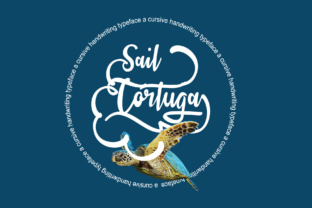 Sail Tortuga: The Premium Display Font for Scroll-Stopping Campaigns
