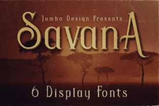 Savana: A Retro Display Font for Editorial Design