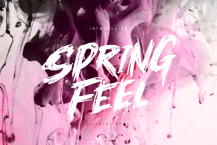 Springfeel: The Dynamic Brush Typeface for Modern Branding